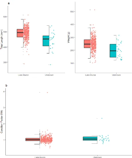 Figure 6: (a) Box and whisker plots comparing total length (mm) and weights (g) of spawning-phase Sea Lamprey from Lake Huron (n = 431; mean TL = 491 mm, SD = 37 mm; mean Wt = 249 g, SD = 49 g) and Sea Lamprey with unknown origins (n = 24; mean TL = 438 mm
