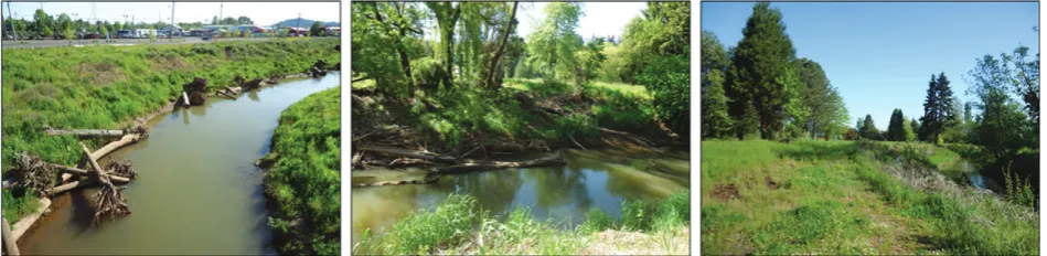 Figure 1 Johnson Creek watershed.