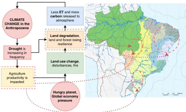 Figure 1.1: Studied regions and main subjects covered in a briefly presented climate  change cycle