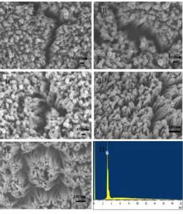 Figure 1.  A-E. The SEM of Ag NW array; Fig. 1F EDX of Ag NW arrays 