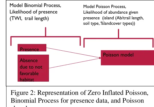 Figure 2: Representation of Zero Inflated Poisson, Binomial Process for presence data, and Poisson 