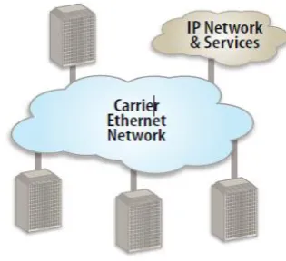 Figure 1.6:-Carrier Ethernet Network 