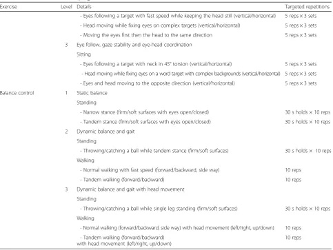 Table 4 Details of the exercise progression (Continued)