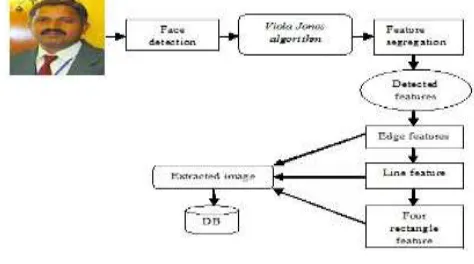 Fig 1. Face Detection Process 