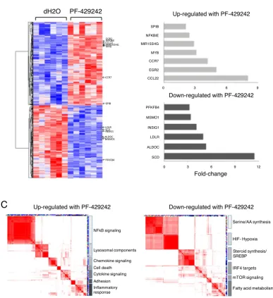Figure 6. Gene expression analysis identifies distinct gene signature enrichment in PF-429242 treated plasmablasts