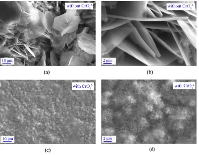 Figure 6.  SEM micrograph of surface of aluminium in 55 wt. % LiNO3 solution and 55 wt