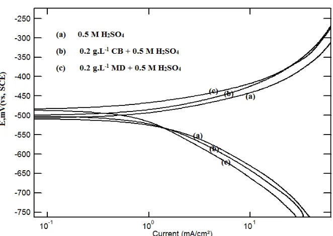 Figure 1.  Potentiodynamic polarization curves for steel in 0.5 M H2SO4 solutions in the absence and the presence of 0.2g/ CB and  MD leaf extracts at 30°C.