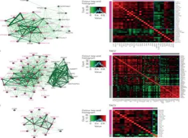 Figure 8 :  Coexpression network of each transcriptome-associated cluster (TAC) signature of genes (magenta nodes) and proteins (grey nodes)