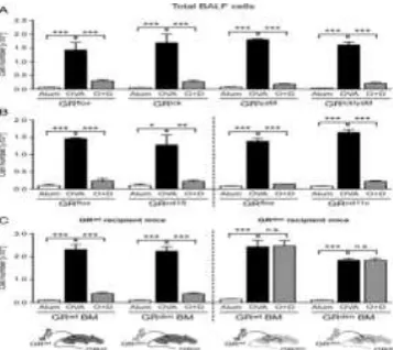 Figure 6 : Flow cytometric analysis of BALF from cell type–specific GR-knockout mice and GRdim BM chimeras after induction of AAI and GC treatment