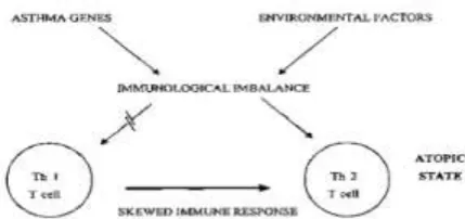 Figure 4 Environmental factors interacting with  Multiple Asthma “susceptibility” genes(1-n) generating various elements of the Asthma Phenotype