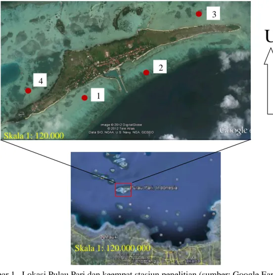 Gambar 1.  Lokasi Pulau Pari dan keempat stasiun penelitian (sumber: Google Earth,                      2012)