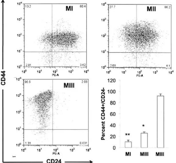 Figure  4.  CD44/CD24  analysis  of the  M  cell  lines.  Flow cytometry was  used  to  evaluate  the  surface  expression  of CD44  and  CD24  in  Ml,  Mil  and  Mill  cells 