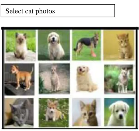 Fig 2. Image Based Captcha   