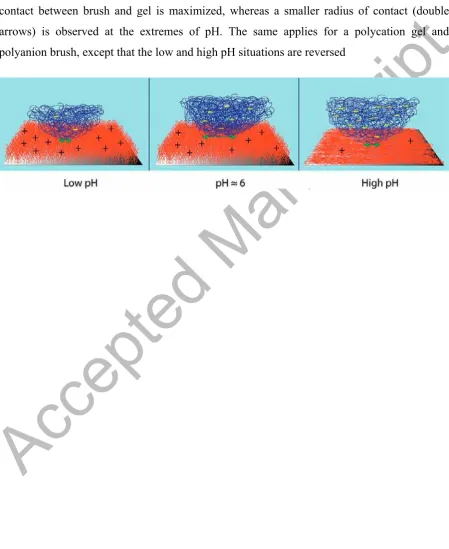 Figure 1. Schematic diagram of the process for a polyacid gel being brought into contact 