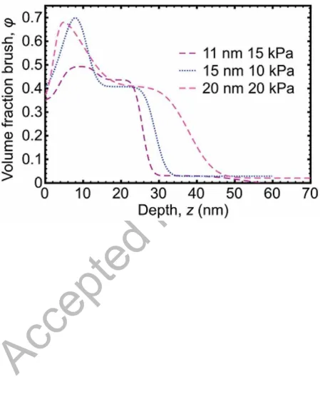 Figure 3. Volume fraction depth profiles for three brushes of different thicknesses into a PMAA gel
