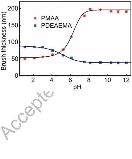 Figure 7. Ellipsometric water-swollen thickness of PDEAEMA and PMAA brushes as a 