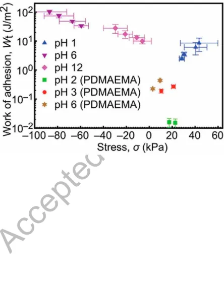Figure 8. Thermodynamic work of adhesion for the PDEAEMA brush/PMAA gel adhesion 