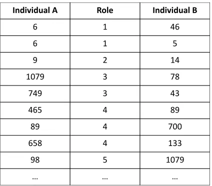 Fig. 8. Individual-Role-Individual matrix representation