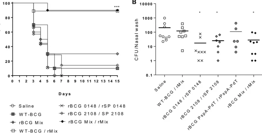 FIG 5 rBCG Mix/rMix immunization protects mice against pneumococcal aspiration pneumonia/sepsis challenge and pneumococcal colonization.nasal wash was performed 7 days later and plated on blood agar
