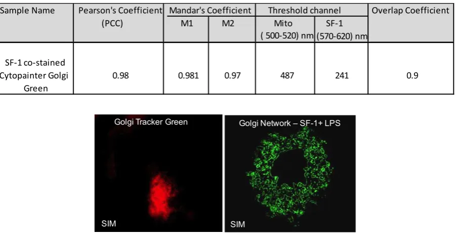 Figure S12. Comparison SIM images: Golgi Tracker Green and SF-1 showing superior stability of SF-1 over Golgi Tracker Green