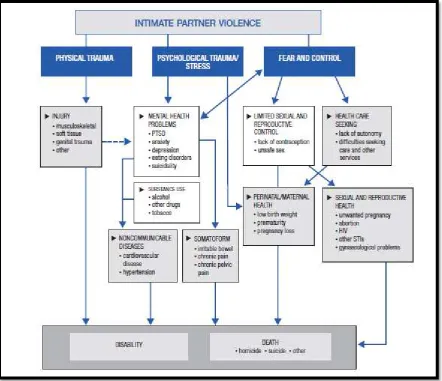 Figure 2. Pathways and health effects on intimate partner violence  