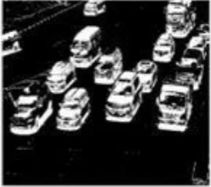 Fig. 4. Real time image.  