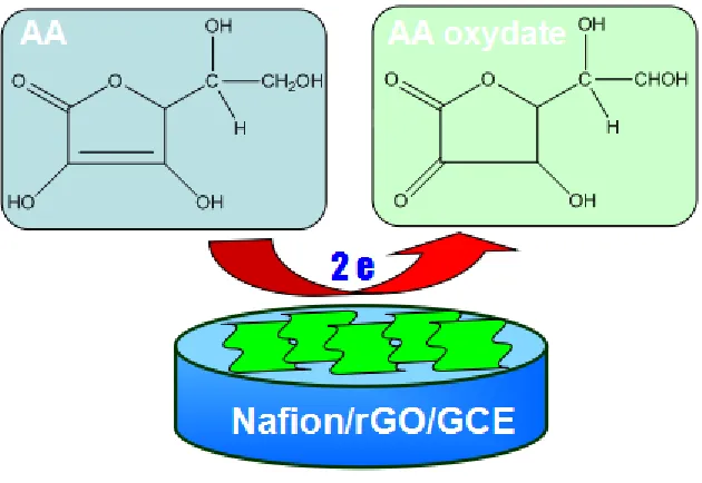 Figure 3 . (a) CVs obtained at Nafion/rGO/GCE in 0.05 M KHP (pH 4.0) solution containing 1.0 mM AA at different scan rates (10, 50, 100, 150, 250, 350 and 450 mV s–1); Inset: a plot of Ipa vs.scan rate