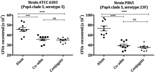 FIG 3 Opsonophagocytic activity of sera from mice immunized with conjugate PS14-mPspA4Pro oncomplement source (NMS)