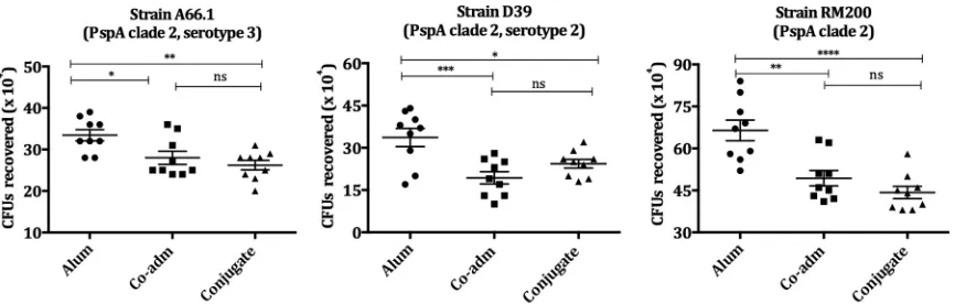 FIG 5 Opsonophagocytic activity of sera from mice immunized with conjugate PS14-mPspA4Pro oncomplement source (NMS)