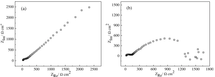 Table 2. Results of Tafel plots of MAO-AZ91D with the different thickness films immersed in the m-SBF for 15 days  
