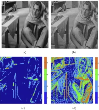 Fig. 2.2 – The improved classiﬁcation results on Barbara image: (a) Original image,(b) Noisy image σ = 20