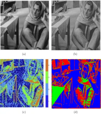Fig. 3.4 – The classiﬁcation results comparison on Barbara image: (a) Original image,(b) Noisy imagetexture with little noise, green: medium region, light blue: texture with high noiseand dark blue is the ﬂat region), (d) Our classiﬁcation method: (The red