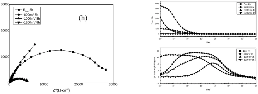 Figure 2.  Impedance changes after different cavitation exposure time(1 h, 2 h, 4 h, 8 h respectively) with different applied protection potentials of Q235(a, b, c, d) and ZG06Cr13Ni4Mo(e, f, g, h)  