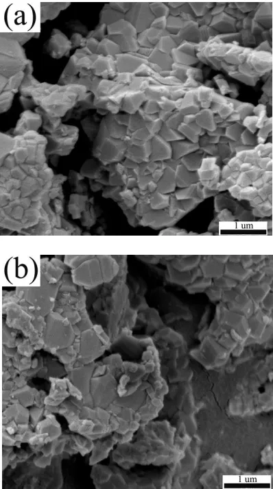 Figure 3. SEM images of (a) LiNi0.5Mn1.4Mg0.1O4 and (b) LiNi0.5Mn1.4Al0.1O4.  