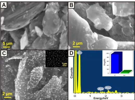 Figure 1. SEM images of (A) pristine graphite, (B) EGr, (C) AuNPs-EGr and (inset C) AuNPs