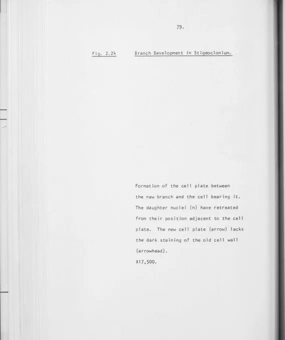 Fig. 2.24 