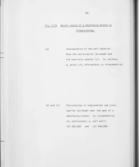 Fig. 2.25 