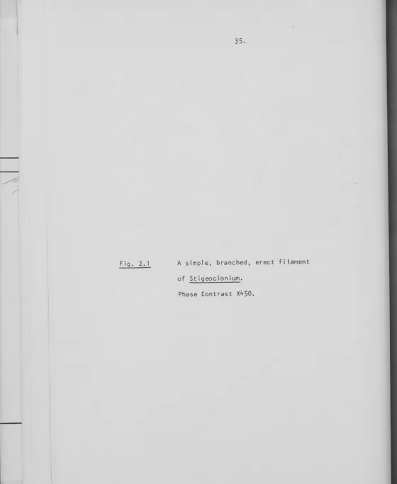 Fig. 2. 1 