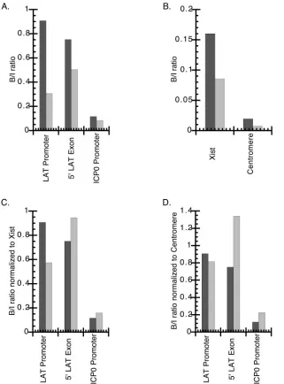 TABLE 3. Relative amounts of HSV-1 DNA present in ganglia ofmice infected with KOS or KOS/29b