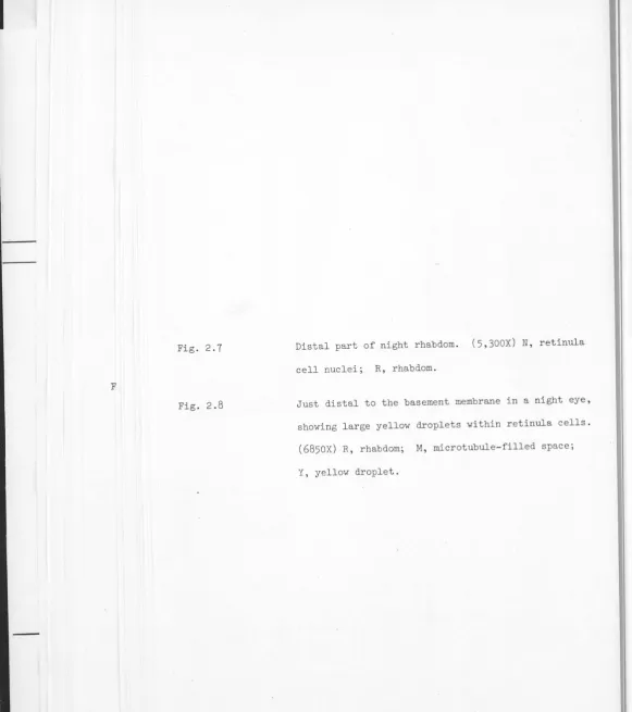 Fig. 2.7 