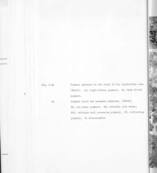 Fig. 2.9a 