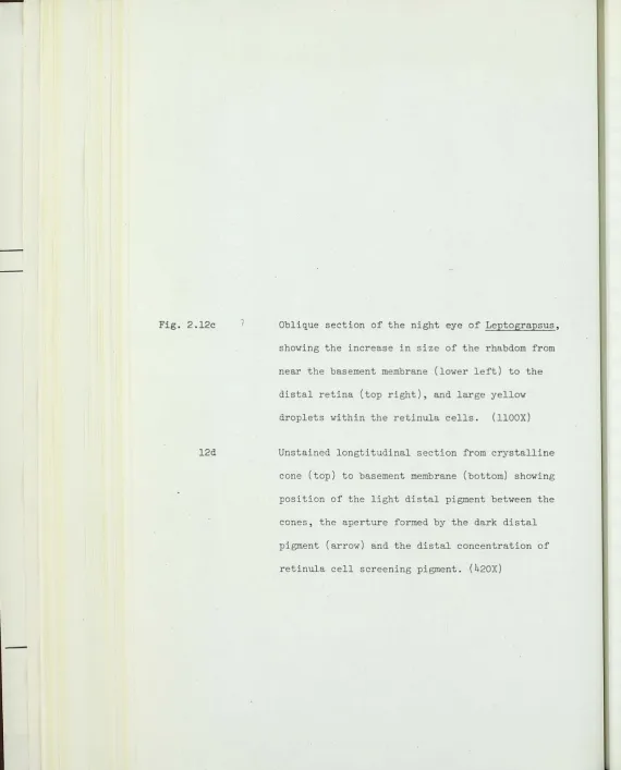 Fig. 2 .12c 