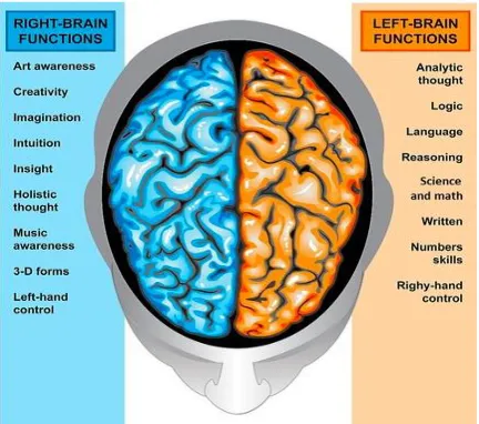 Figure 3Brain function (left &right side ) 