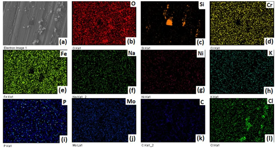 Figure 8. Photomicrographs of (a) 316L stainless steel corroded in the artificial saliva solution at room temperature together with X-ray mappings of (b) O (c) Si, (d) Cr, (e) Fe, (f) Na, (g) Ni, (h) K, (i) P, (j) Mo, (k) C and (l) Cl