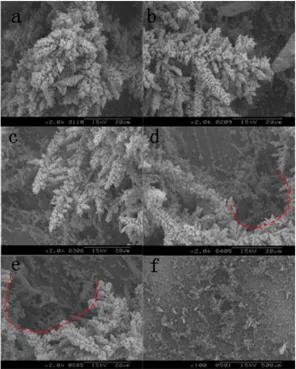 Figure 5.  The typical phase composition of the Cu foams obtained at various deposition temperatures  