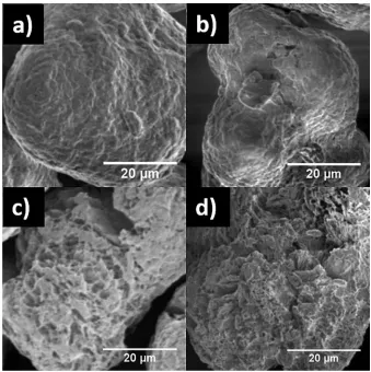 FIGURE 6(a) HSM image taken during crystallization from melting. (b) High magnification SEM micrograph of 3 h LP-PT treated PA 12revealing holes where the amorphous component has been removed (highlighted by the green circle)