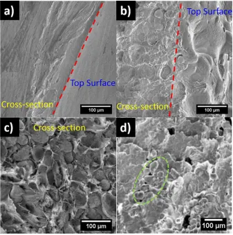 FIGURE 7(a) Top surface and cross section of the nontreated PA12 part, (b) Top surface and cross section of 1 h treated PA12 part,(c) Cross section of the 2 h treated PA12 part, and (d) Cross section of LS PA12 part sample (green circle highlight unmelted powder)