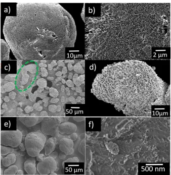 FIGURE 8SEM Micrographs of PA12 subjected to K-APPJ at a duration of (a-b) 1 min. And (c-d) 3 min