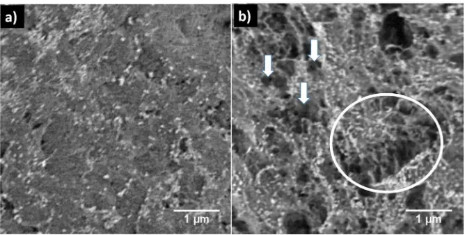 FIGURE 2SEM micrographs of the PA12 particles surfaces (a) without LP-PT plasma treatment, (b) 1 h LP-PT plasma treated PA12(porosity examples marked with circle and arrows)