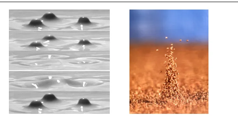 Figure 1. Left: A triad of oscillons in a vertically vibrated colloidal suspension, with time running from top to bottom (taken from [)